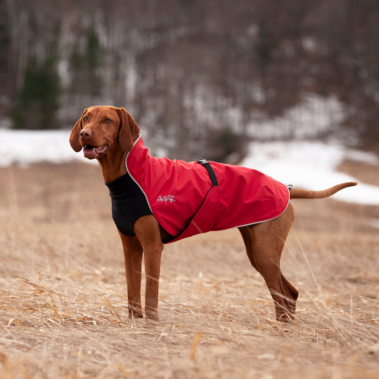 Large Dog 3-Season Coat - "Alpine Blazer" by Chilly Dogs