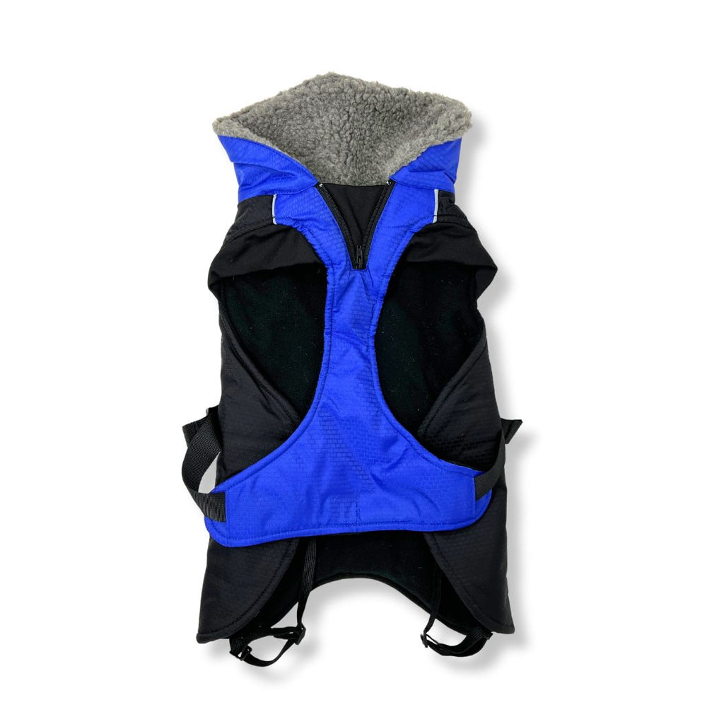 Glacier Insulated Dog Parka for Large Dogs from Rocky Mountain Dog