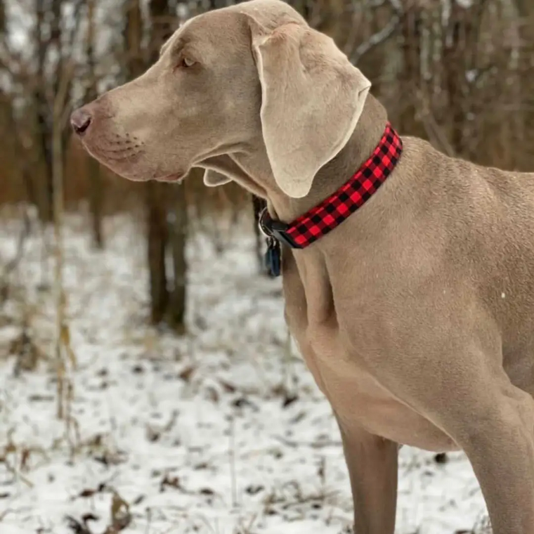 Red Buffalo Plaid Large Dog Collar