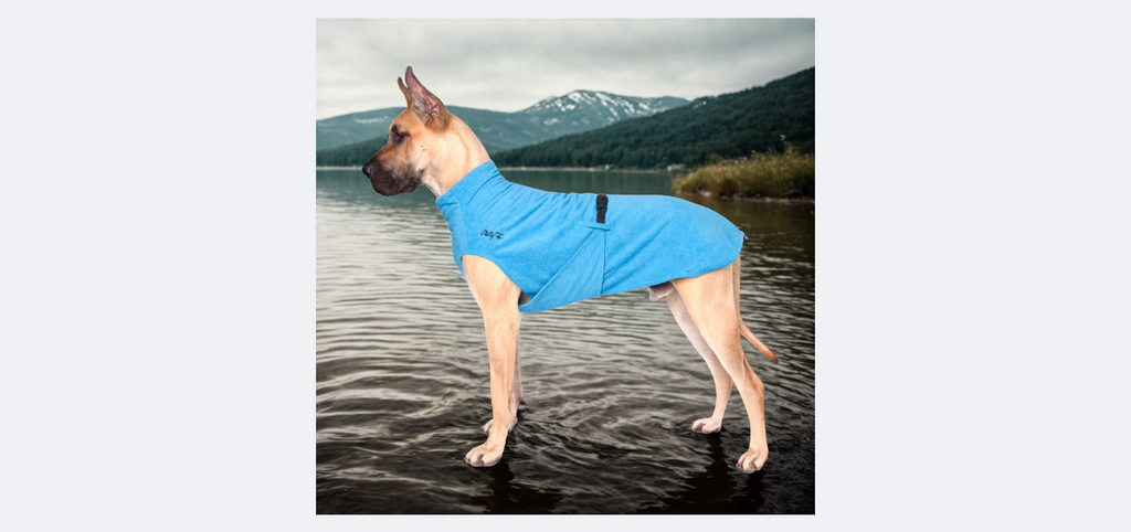 Large Dog Cooling Soaker Coat / Bath Robe