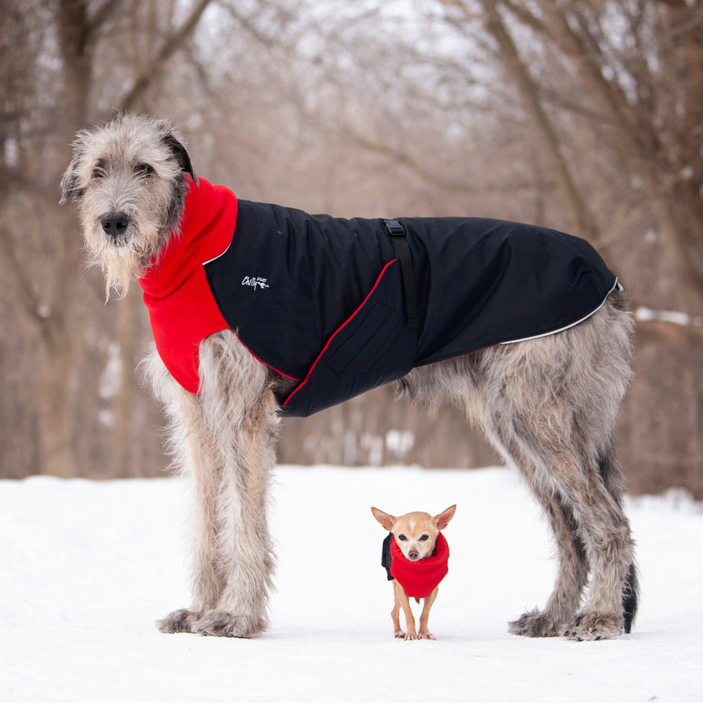 Large Dog Winter Coat - "Great White North" by Chilly Dogs