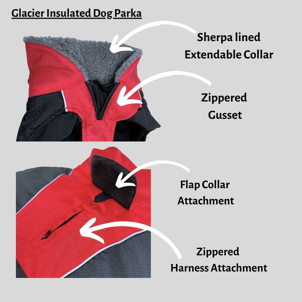 Glacier Insulated Dog Parka for Large Dogs from Rocky Mountain Dog