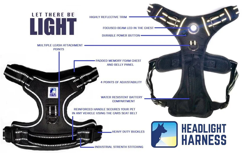 Headlight Harness for Large Dogs