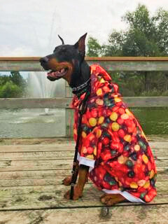 Dog Fleece Hoodie - Jelly Beans