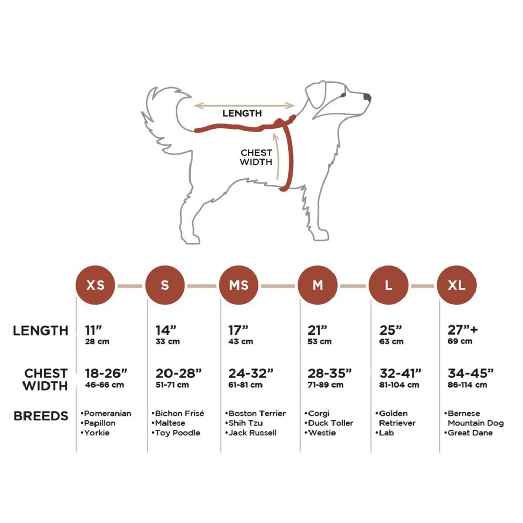 Glacier Insulated Dog Parka for Large Dogs from Rocky Mountain Dog