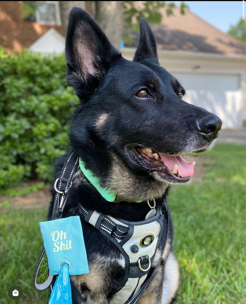 "Oh Shit" Poop Bag Holder / Dispenser