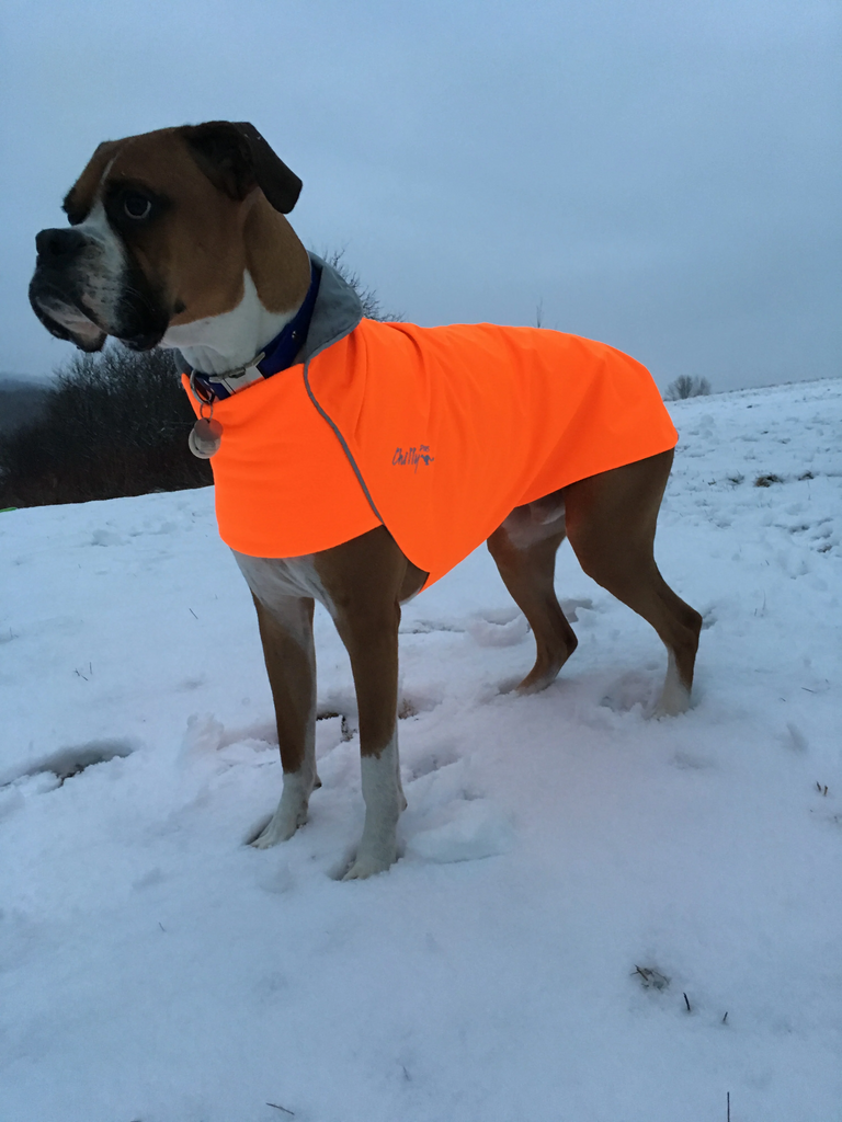 "Rain Slicker" by Chilly Dogs for Long and Lean dogs- FINAL SALE