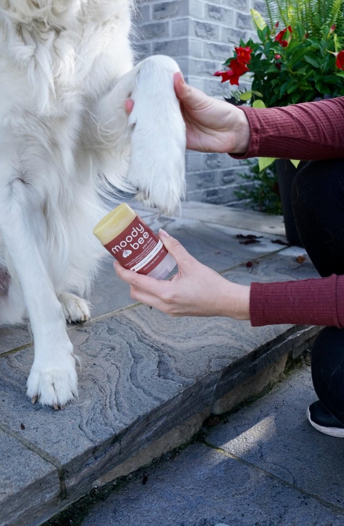 Large Dog Paw Balm