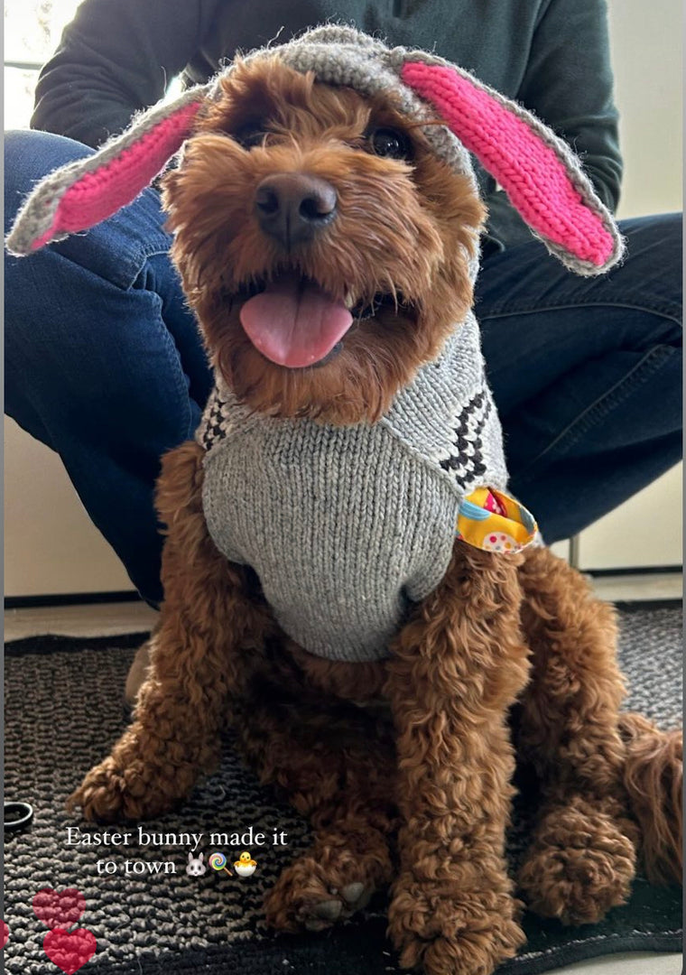 Large Dog Wool Sweater - "Bunny Hoodie"
