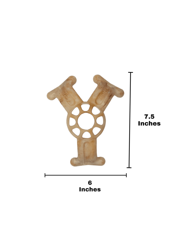 Tastee Choo Y Bee Large Dog Toy