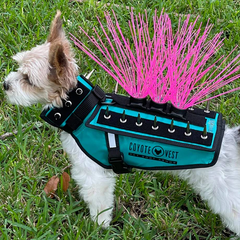 Body Armor Coyote Jacket For Small Dogs Protection Harness