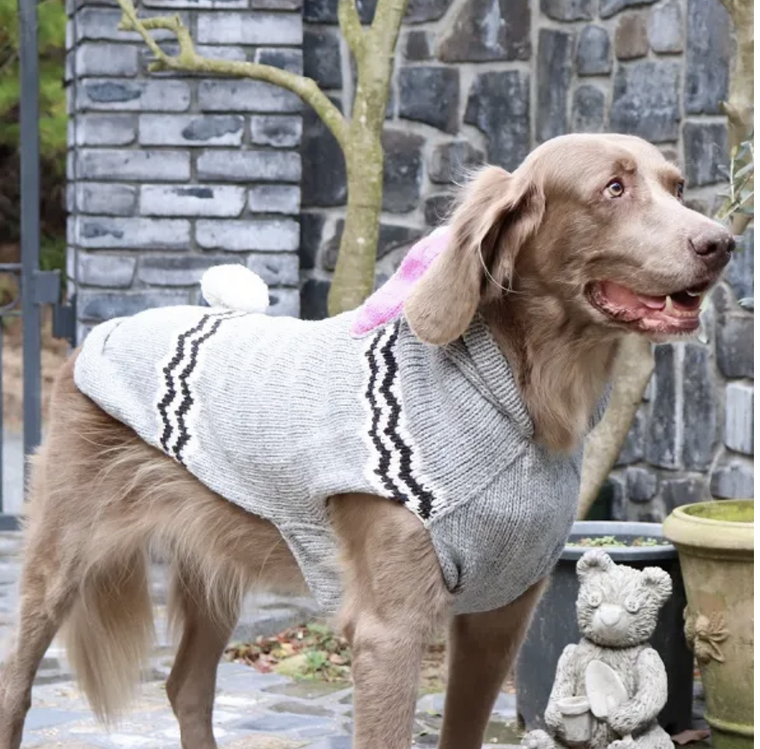 Large Dog Wool Sweater - "Bunny Hoodie" - On Sale for Easter!
