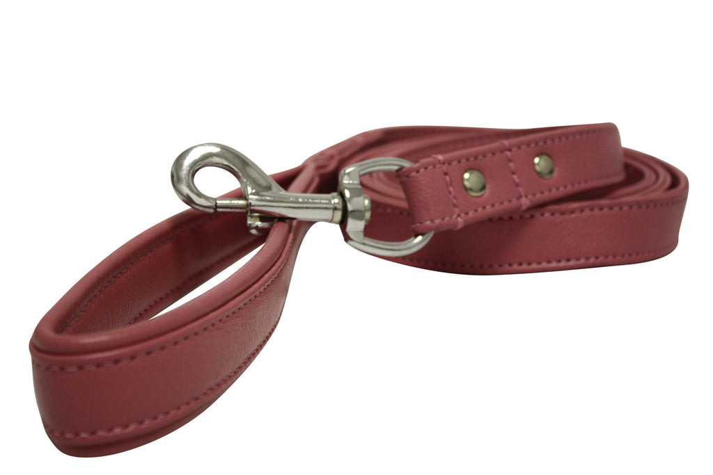 Leash - Alpine (Leather)