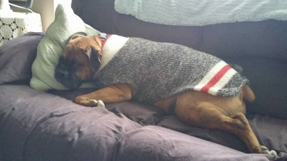 Large Dog Wool Sweater - "Boyfriend"