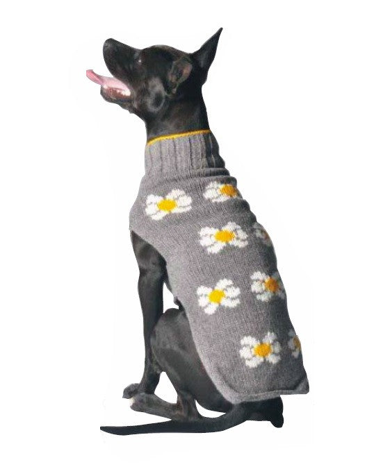 Large Dog Wool Sweater - "Daisy"