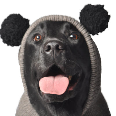 Large Dog Wool Sweater - "Panda Hoodie"