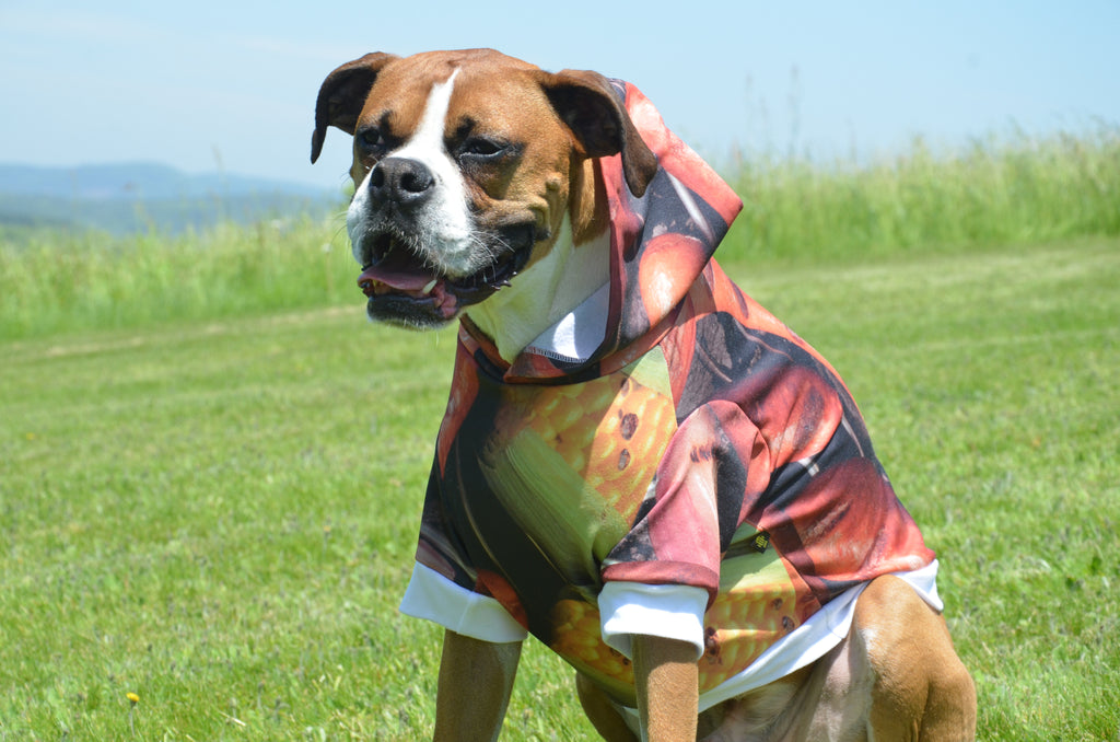 Large Dog Fleece Hoodie - size XL only. FINAL SALE
