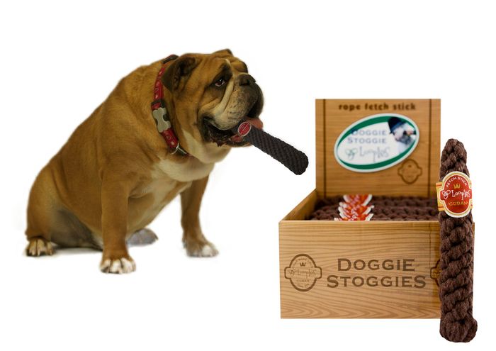 A Doggie Stoggie - Braided Cotton Rope Toy