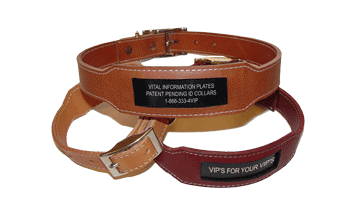 Collar - Engravable Metal ID Plate (Leather)