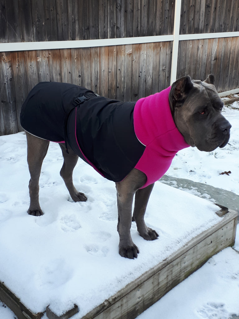 Large Dog Winter Coat - "Great White North" by Chilly Dogs