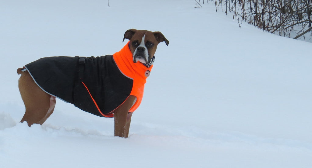 Winter Dog Coat--Great White North--Orange/Blk