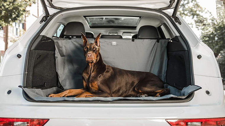 Vehicle - Pet Cargo Cover