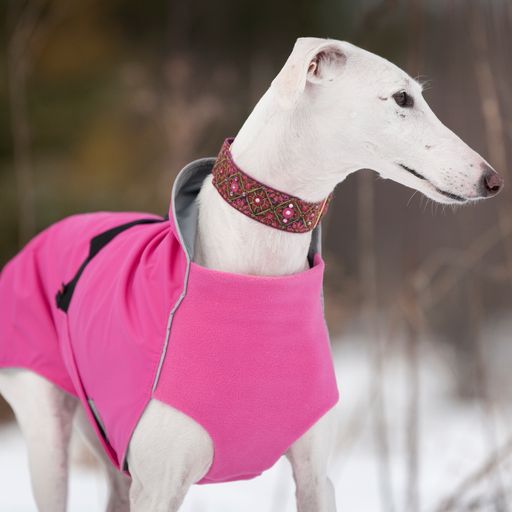 Apparel - Coat - Rain1 ("Harbour Slicker" by Chilly Dogs) for Long & Lean Dogs