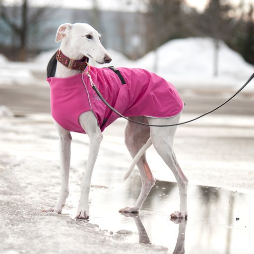 Long & Lean Dog Rain Coat - "Harbour Slicker" by Chilly Dogs