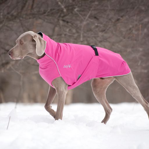 Large Dog Rain Coat - "Harbour Slicker" by Chilly Dogs