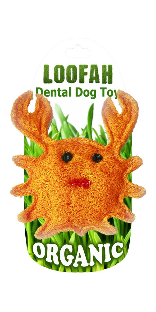 Loofah Dental Dog Toy - Crab