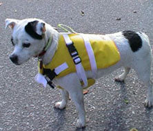 LIfe Vest/Jacket for dogs