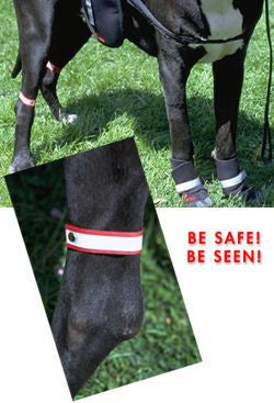 Reflective Anklets for dogs