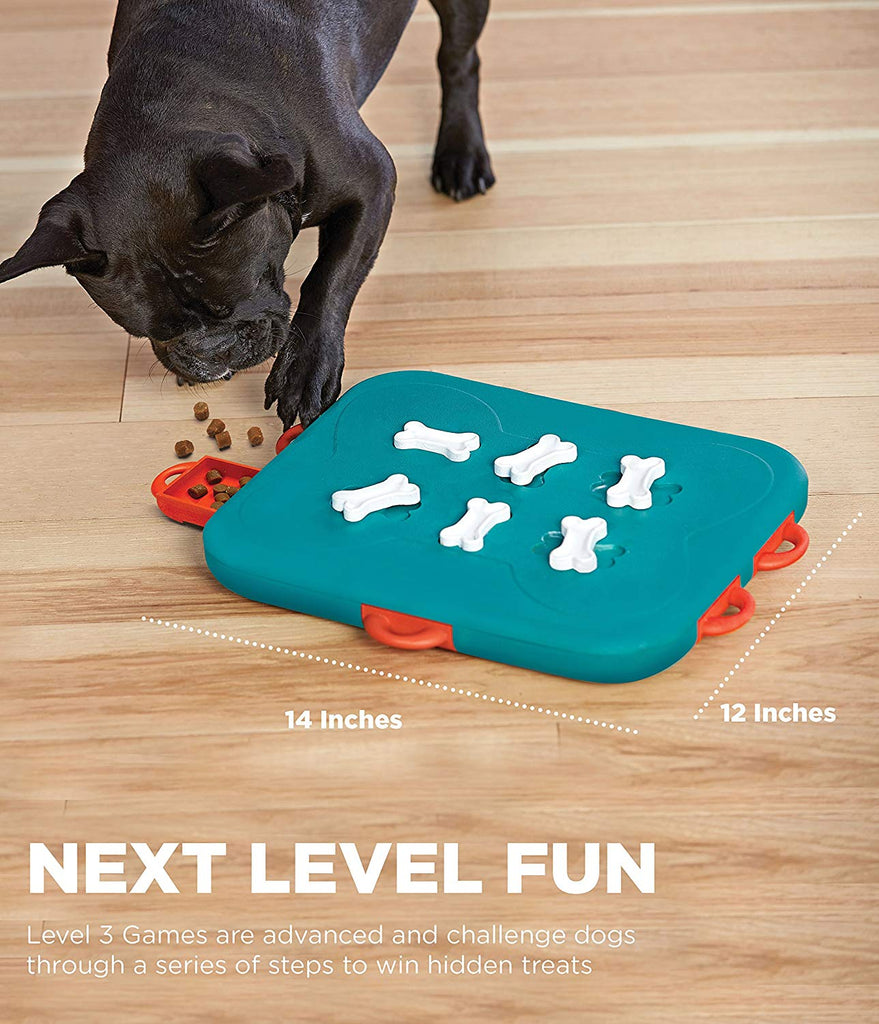 *Brain Exercise Game for Dogs - Dog Casino
