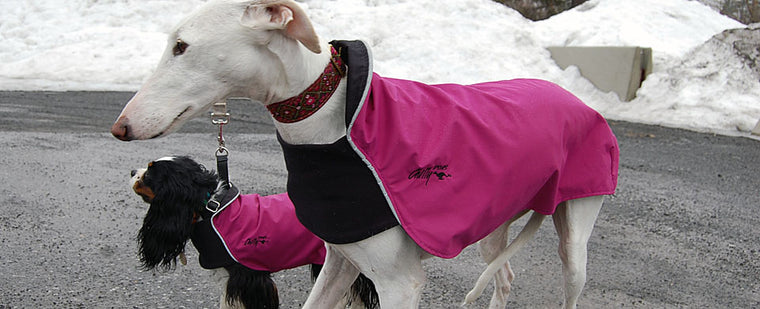 Long & Lean Dog Rain Coat - "Rain Slicker" by Chilly Dogs - FINAL SALE