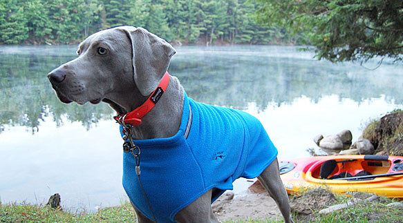 Fleece Dog Sweater - Blue