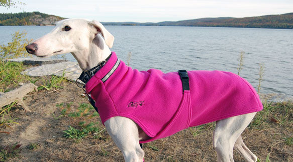 Dog Sweater for Long & Lean Dogs - Raspberry
