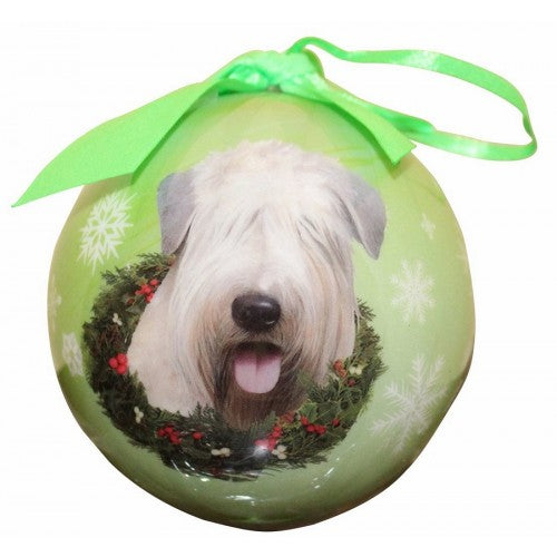 Soft Coated Wheaten Terrier Xm