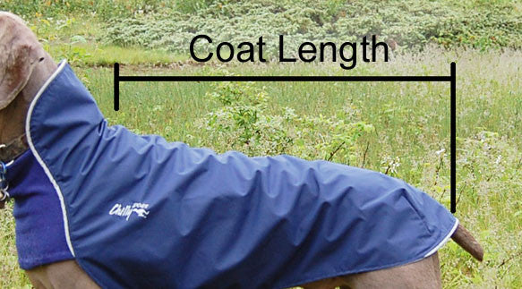 Long & Lean Spring/Fall Dog Coat - "Trail Blazer" by Chilly Dogs - FINAL SALE