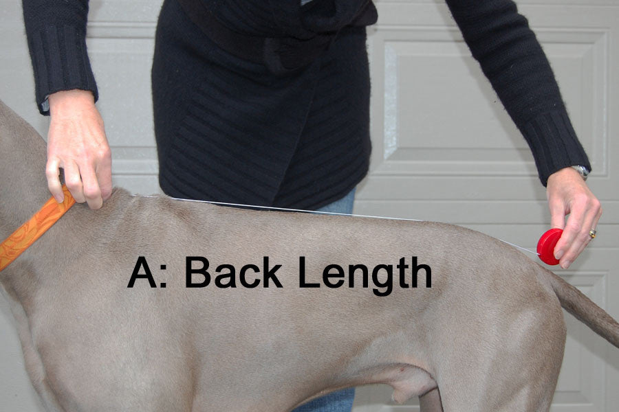 Dog Rain Coat - Rain Slicker - Back Length