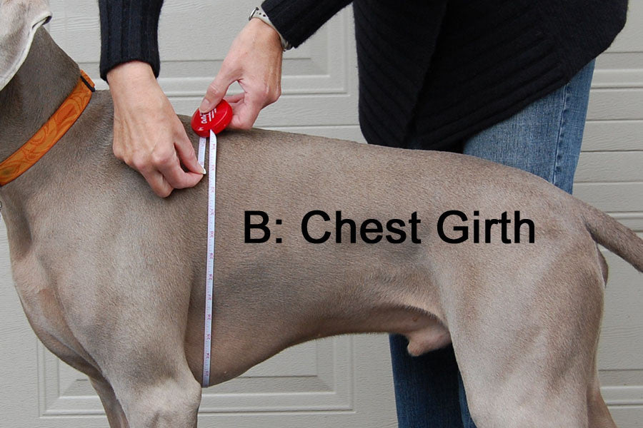 Dog Bath Robe - Chest Girth