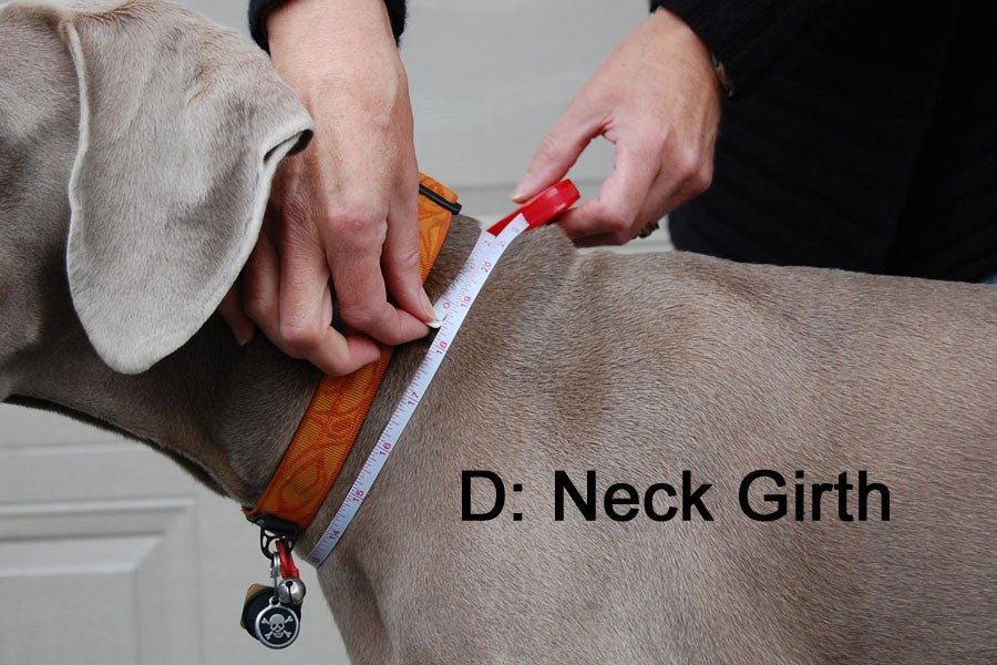 Dog Sweater - Neck Girth