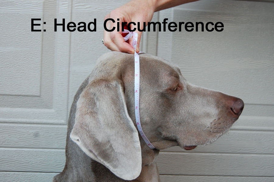 Dog Hat / Head Muff - Head Circumference