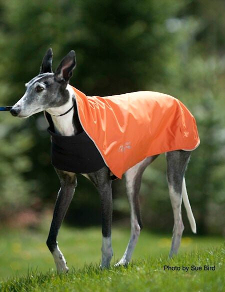 Long & Lean Spring/Fall Dog Coat - "Trail Blazer" by Chilly Dogs - FINAL SALE
